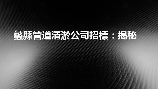 蠡縣管道清淤公司招標：揭秘神秘工程，解密底層黑科技！